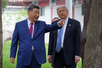 El presidente estadounidense Donald Trump y el presidente chino Xi Jinping en Beijing, el 15 de mayo del 2026. (AP foto/Mark Schiefelbein, Pool)